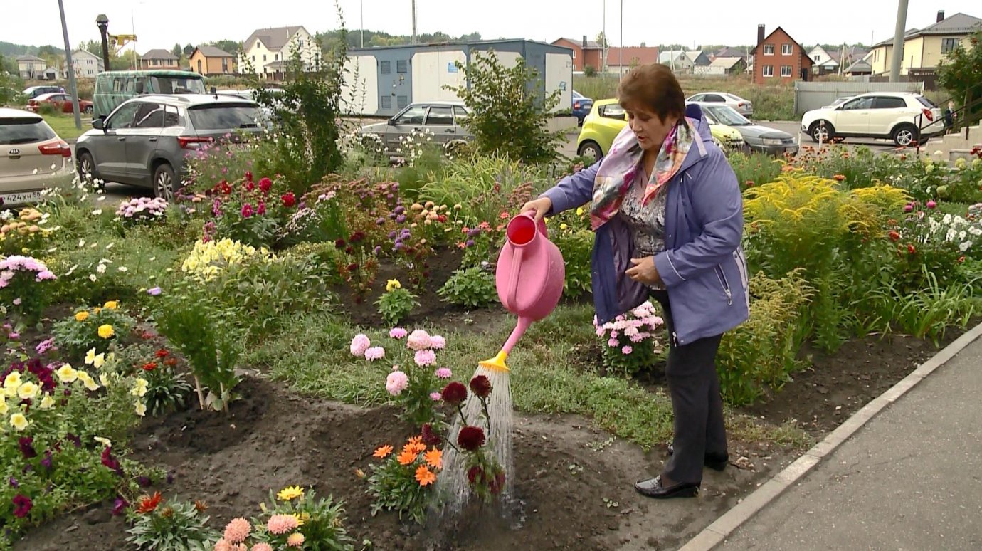 В Пензе активистка украсила территорию дома цветами