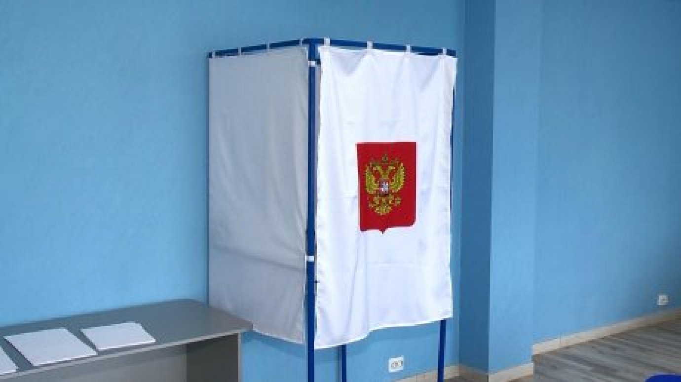 На выборах Пензенскую область посетит мониторинговая группа СПЧ