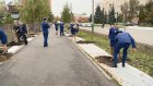 В Пензе сотрудники прокуратуры высадили 22 липы на улице Богданова