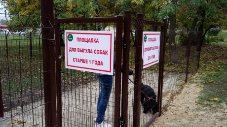 На улице Карпинского в Пензе открылась зона для выгула собак