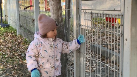 В Комсомольском парке снова открыли детскую площадку