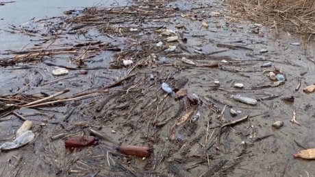 Пензенцы требуют установить мусорные баки у Сурского моря