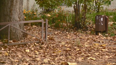 Как в свинарнике: двор на улице ДОС засыпало листьями