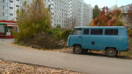 Жители домов на улице Бородина пожаловались на кучу веток