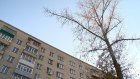 Высохший гигантский тополь на Одесской создает угрозу людям