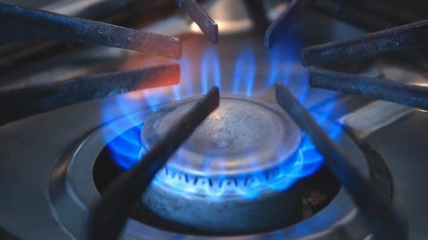 Малообеспеченным многодетным семьям помогут провести газ в дом