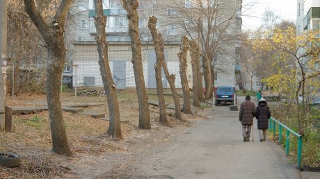 Вадим Супиков помог благоустроить двор на улице Пролетарской