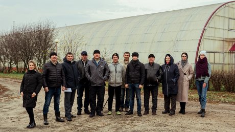Начать агробизнес в Пензенской области стало проще