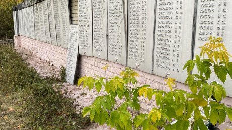Заброшенный мемориал в селе Рянза привлек внимание прокуратуры