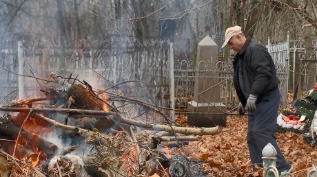На Мироносицком кладбище начали сжигать спиленные деревья