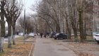 Старые деревья на улице Мира могут рухнуть на тротуар