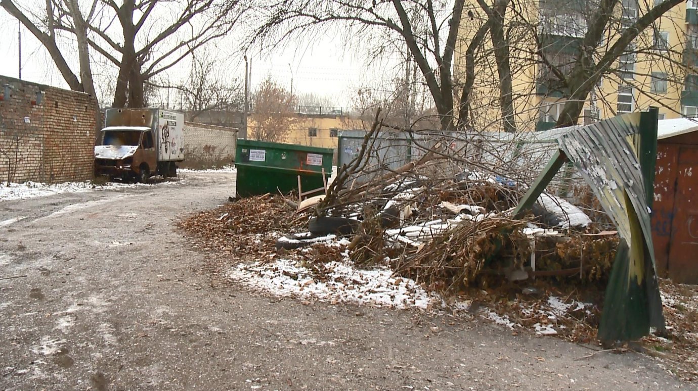 Пензенцы пожаловались на вид мусорной площадки на ул. Вяземского