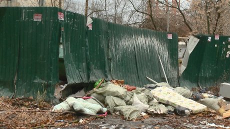 На улице Островского заметили улучшения на мусорной площадке