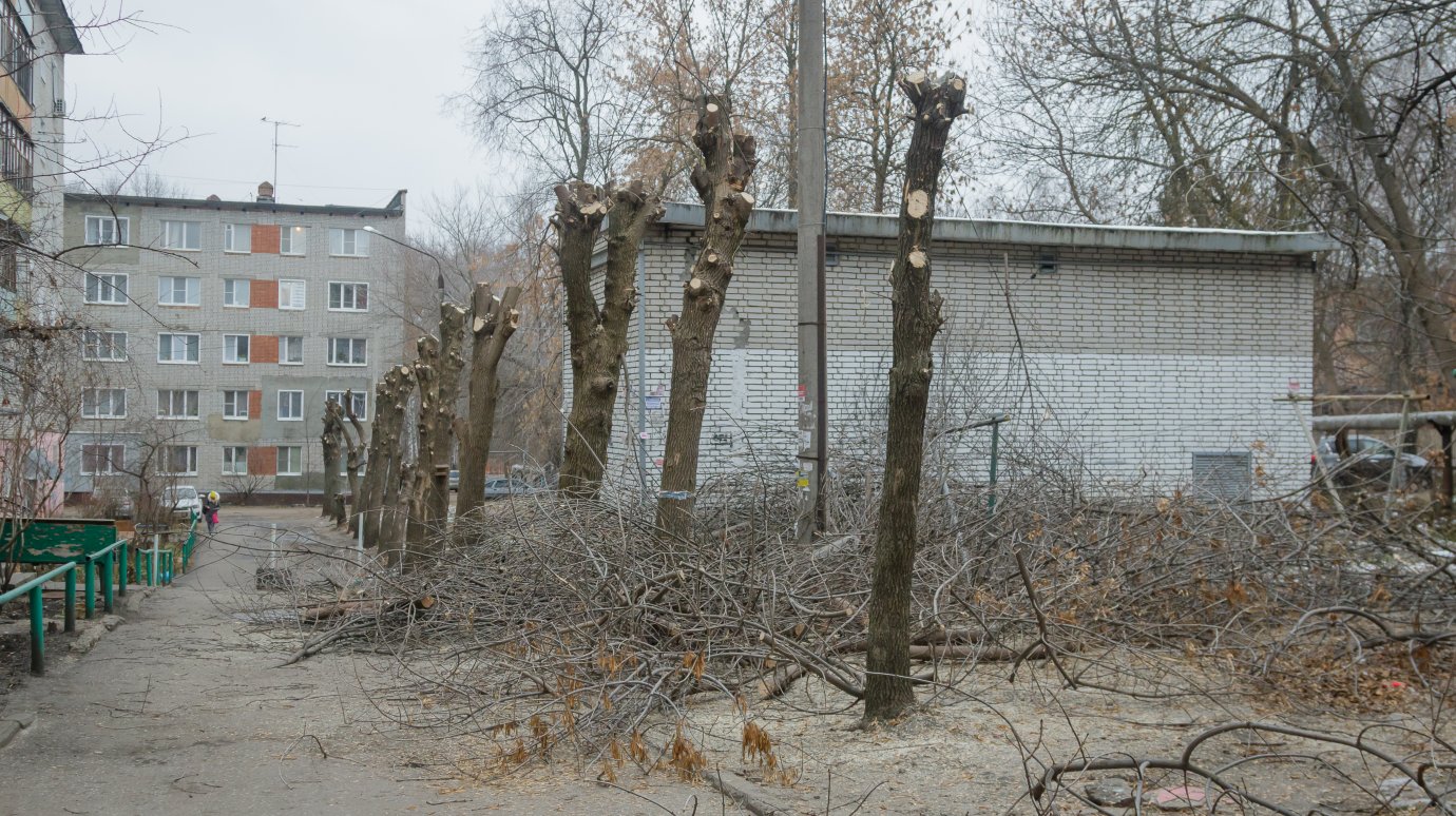 Вадим Супиков помог жителям «Стрелы» провести опиловку деревьев