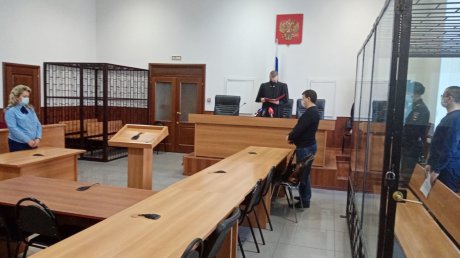 Озвучен приговор убийце 14-летней школьницы в Тепличном
