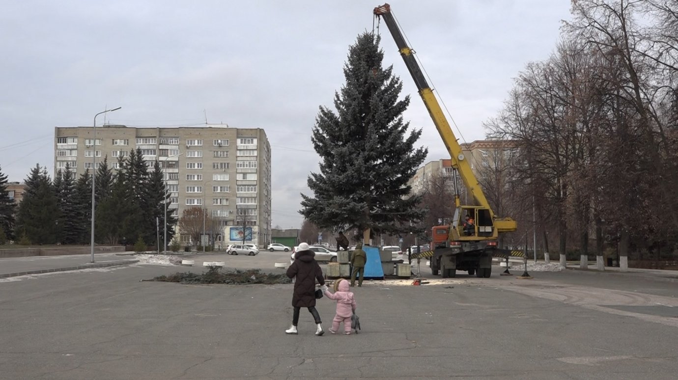 В Кузнецке установили главную городскую елку