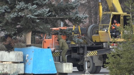 В Кузнецке установили главную городскую елку