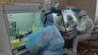 В Пензе появились тест-системы для выявления вируса гриппа и COVID