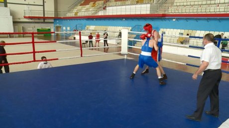В Пензе прошло собрание региональной федерации бокса