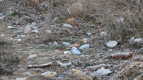 На улице Беляева местные жители не могут справиться с мусором