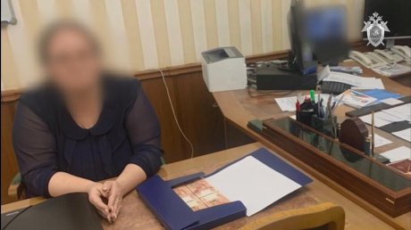 Каменская чиновница пыталась дать вице-губернатору взятку в 3 млн руб.
