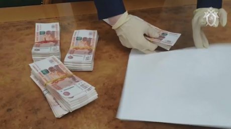 Каменская чиновница пыталась дать вице-губернатору взятку в 3 млн руб.