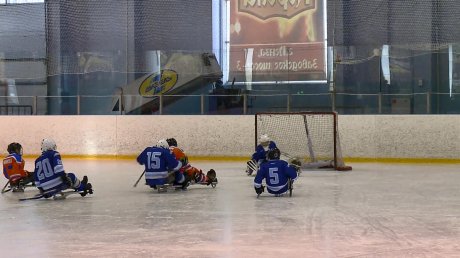 В Пензе состоялся межрегиональный турнир по следж-хоккею