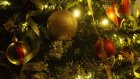 Раскрыты способы уберечь новогоднюю елку от кота
