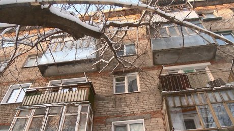 В окна дома на улице Попова стучатся наклонившиеся деревья