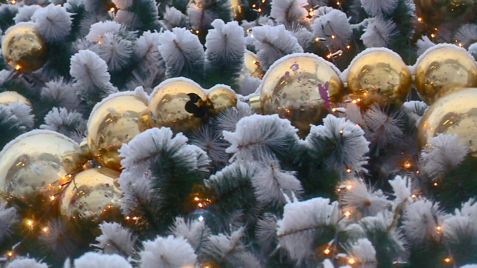 Активные пензенцы провели последний день года на