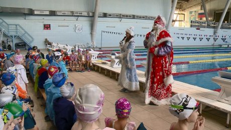 В пензенском бассейне организовали новогодний заплыв