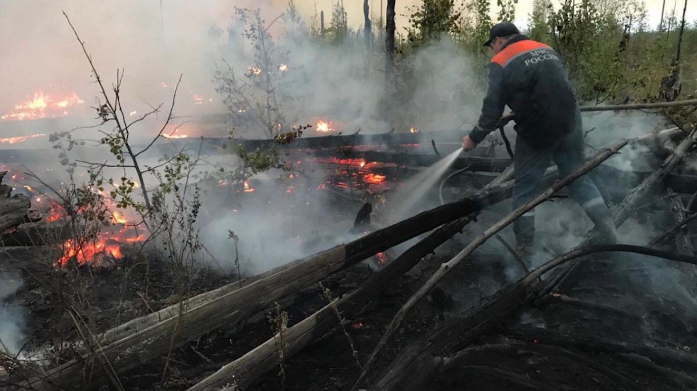 В 2021 году в лесах Пензенской области ликвидировали 62 пожара