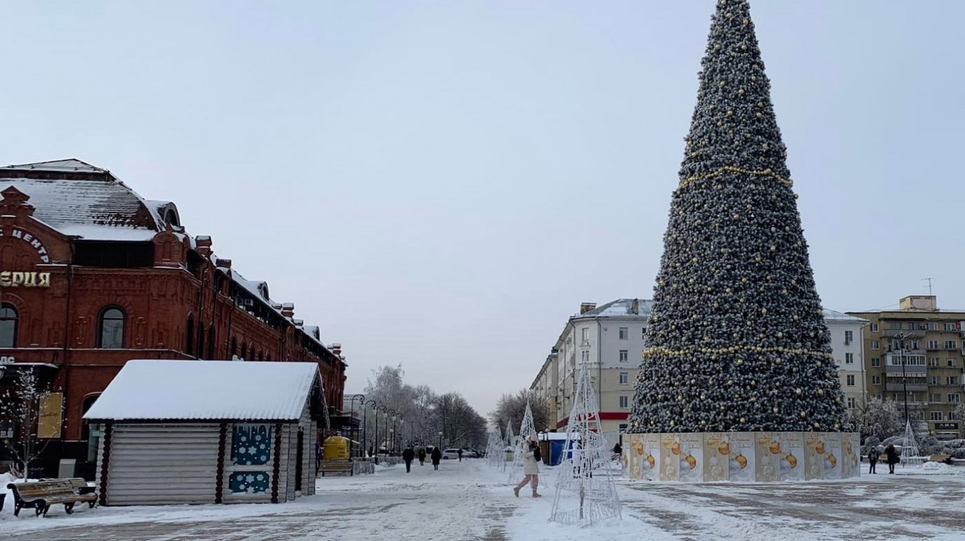 Домик Деда Мороза в Пензе будет работать до 14 января