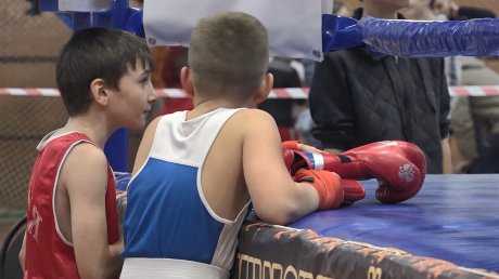 В Сердобске состоялся традиционный турнир по боксу «Дружина»