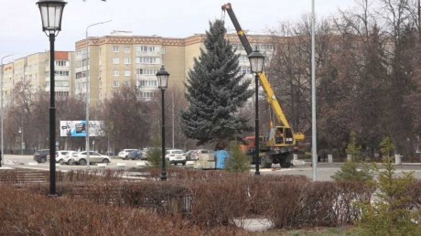 Главная городская елка будет радовать кузнечан до конца января
