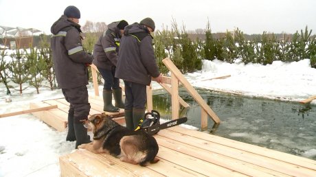 В Пензе активисты вырубили купель на Полевом пруду