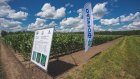 «Русмолко» инвестирует в развитие растениеводства в Пензенской области