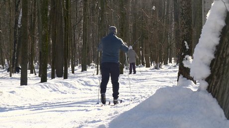 В Пензе в День защитника Отечества ожидается весенняя погода