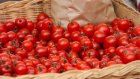 В Пензе коммерсанты заплатят штраф за торговлю помидорами