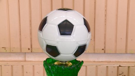 В Пензе родители воспитанников «Зенита» сразились в игре с мячом