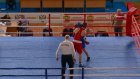 В Пензе состоялось первенство области по боксу