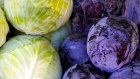 В Пензе рост цен на капусту объяснили сезонностью