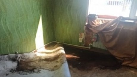 В Башмакове чиновника будут судить за халатность с жильем для сирот