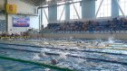 Всероссийские соревнования собрали в Пензе 740 пловцов