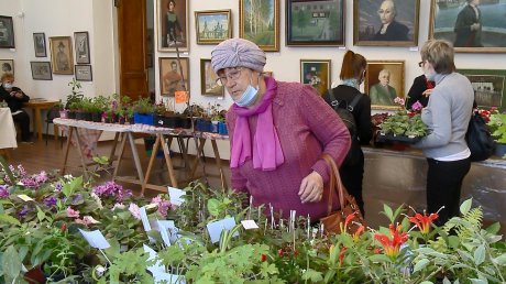 В Пензенской картинной галерее открылась цветочная ярмарка