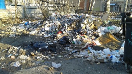 Пензенец запечатлел мусорный апокалипсис на улице Беляева