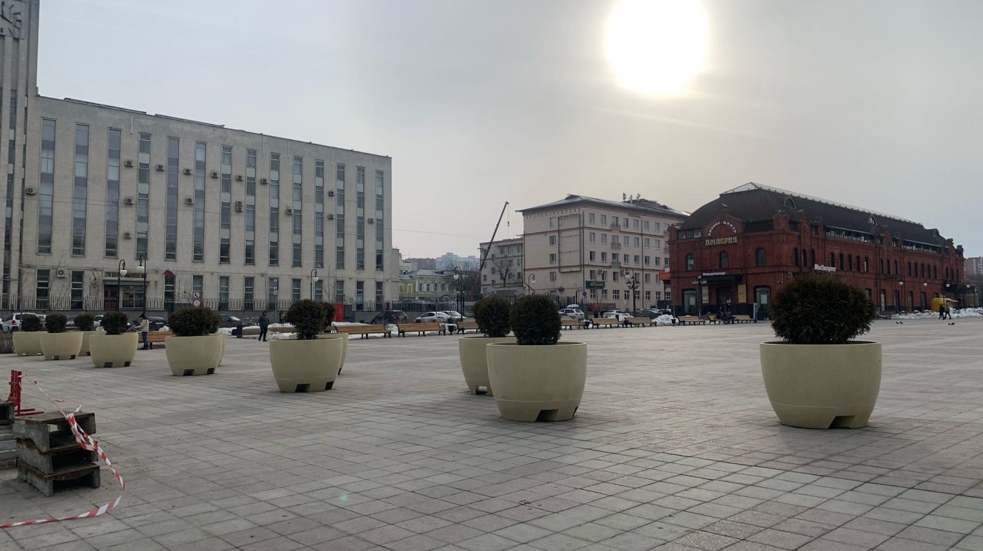 На площади Ленина отремонтируют не убранные на зиму скамейки
