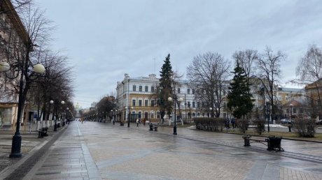 На площади Ленина отремонтируют не убранные на зиму скамейки