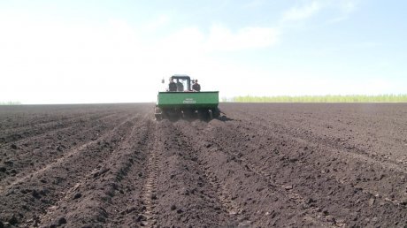 Полевые работы: новая белорусская техника и качественные семена