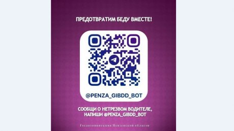 Сообщение о пьяном водителе можно передать телеграм-боту ГИБДД